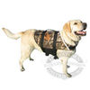 Paws Aboard Doggy Life Jacket