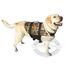 Paws Aboard Doggy Life Jacket