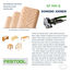 The Revolutionary Domino Tenon