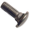 1/4 S/S Carriage Bolts