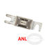 ANL Fuses