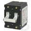Circuit Breakers AA2 Double Pole