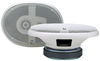 Poly-Planar Inc. Platinum Oval Speakers