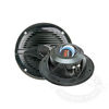 Boss Marine 5.25 2-Way Marine Speakers