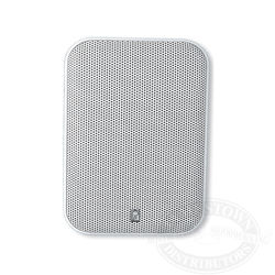Platinum Series Panel Speakers