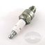 Champion Marine Spark Plugs