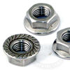 S/S Serrated Flange Nuts