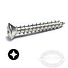 #12 Chrome Stainless Steel Oval Head Phillips Self Tapping Screws