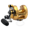 Penn International VS Two-Speed Reels