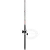 Penn Level Wind Rod & Reel Combos 