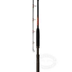 Penn Mariner Standup Spinning Rods