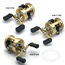 Shimano Calcutta B Baitcasting Reels