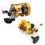 Penn Baitcasting Reels