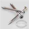 Square Drive Painted Bugle Head Screws Gray