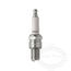 NGK Spark Plugs
