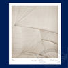 Staysails Limited Edition Poster