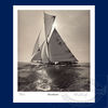 Moonbeam Limited Edition Poster