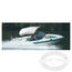 Carver 42 Bimini Topd