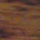 Pecan