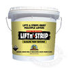 Back To Nature Lift-n-Strip Paint Remover