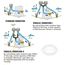 marine engine cooling water filter
