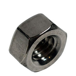 S/S Hex Nuts (fine)