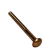 1/4 Bronze Carriage Bolts