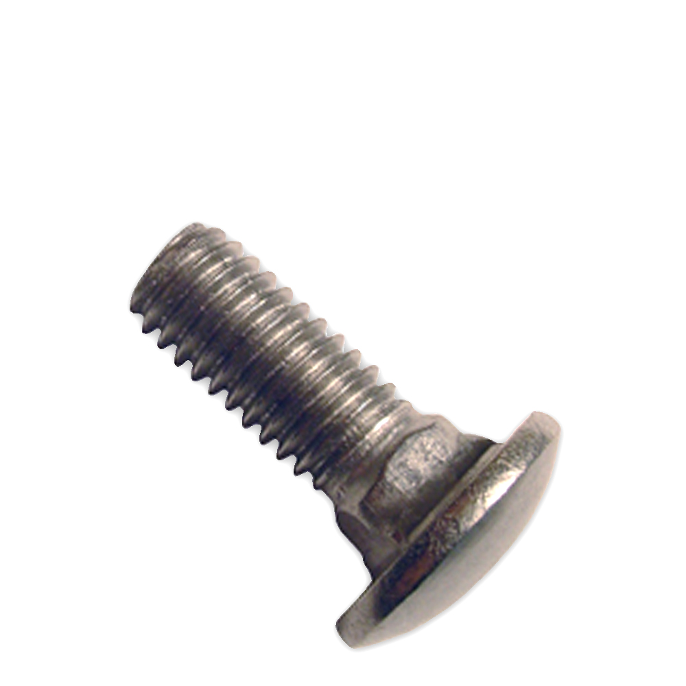 1/2 S/S Carriage Bolts