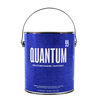 Quantum 99 Clear Coat Gallon